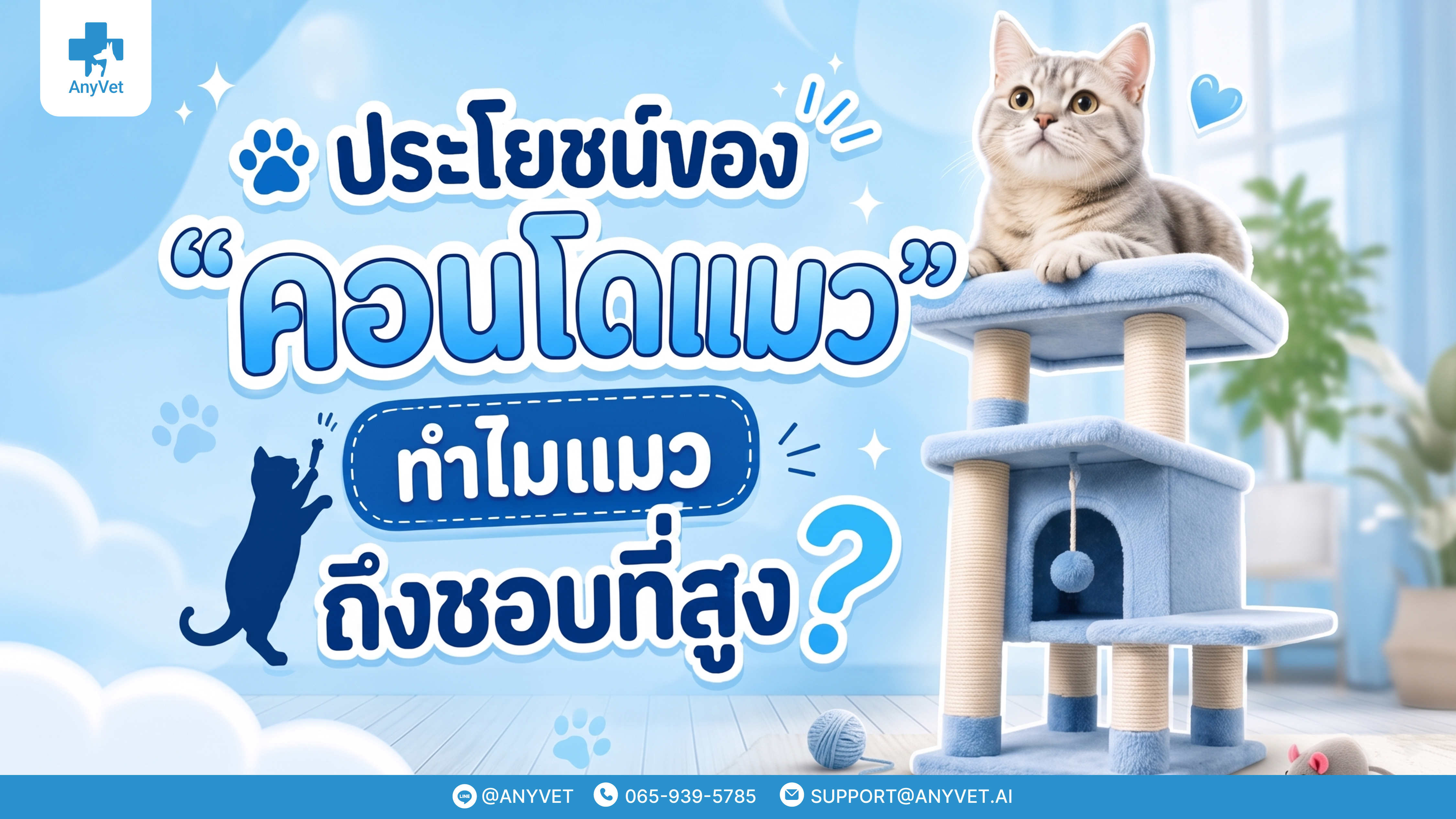 Benefits of a "Cat Condo": Why Do Cats Love High Places?